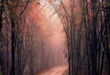 股票按月配资:实盘杠杆-标普完成10万亿美元市值“华丽转身”！华尔街惊叹美股神奇新高之旅